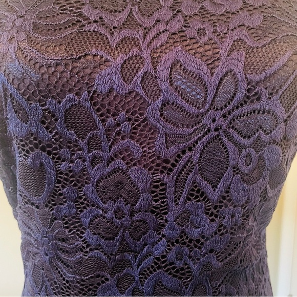 Francesca’s Blue Rain Navy Lace Mini Dress - Picture 9 of 16